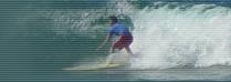 surf